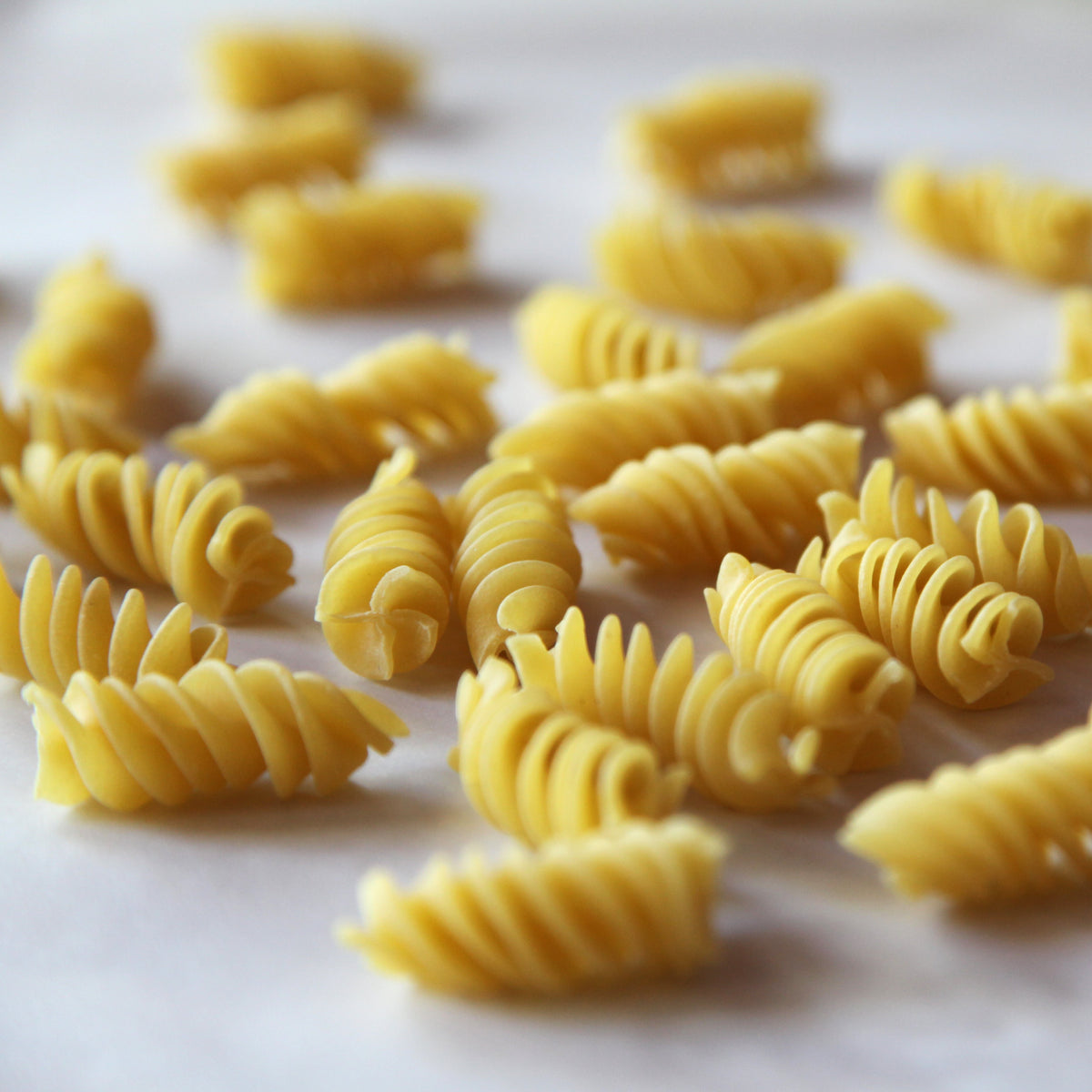 Pastosa Spiral Pasta – Pastosa Shop Online