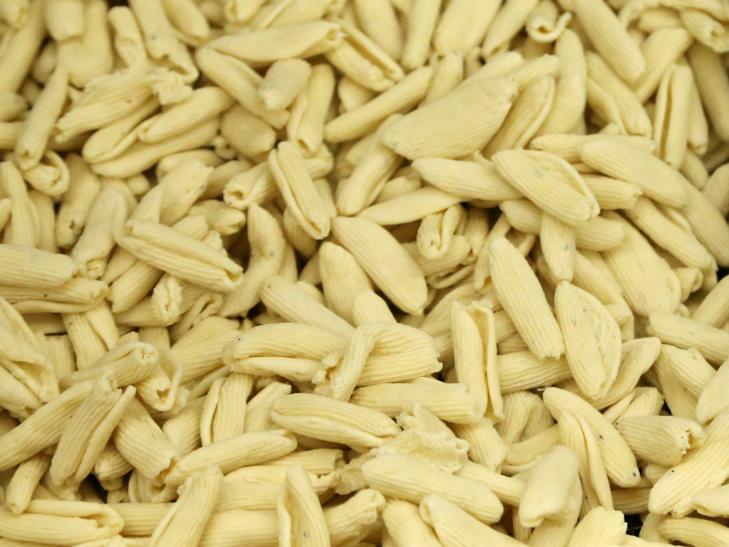 Fresh Pasta – Pastosa Shop Online