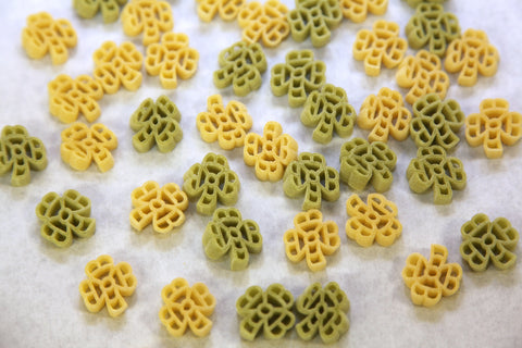 Pastosa Shamrock Pasta-COMING SOON