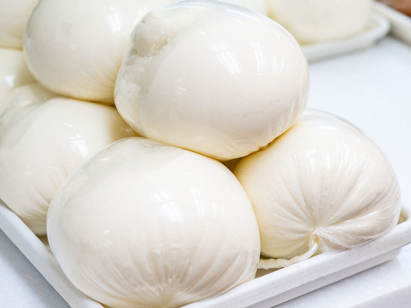 Specialty Cheese – Pastosa Shop Online